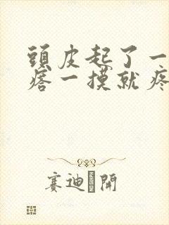 头皮起了一个疙瘩一摸就疼