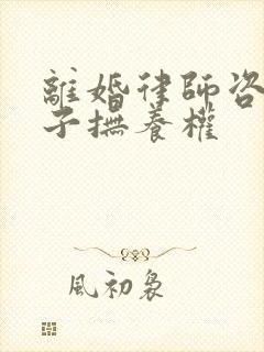 离婚律师咨询孩子抚养权