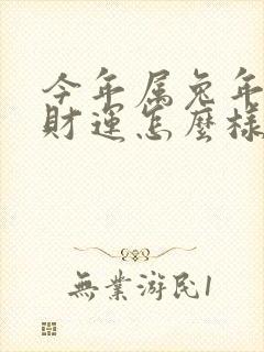 今年属兔年人的财运怎么样封面