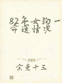 82年女狗一生命运情况