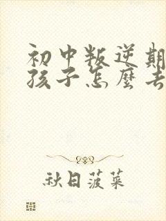 初中叛逆期的男孩子怎么去引导