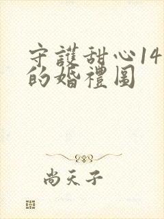 守护甜心14人的婚礼图