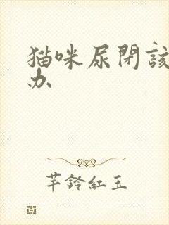 猫咪尿闭该怎么办