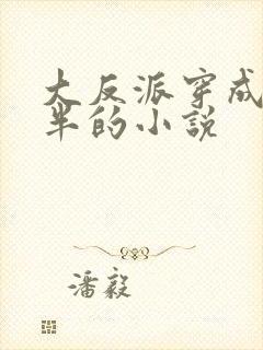 大反派穿成三岁半的小说