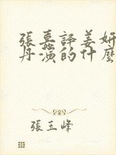 张嘉译姜妍宋丹丹演的什么剧封面