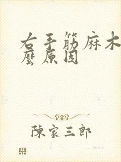 右手筋麻木是什么原因