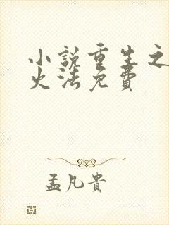 小说重生之狂暴火法免费