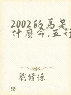 2002的马是什么命,五行属性封面