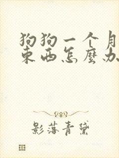 狗狗一个月不吃东西怎么办