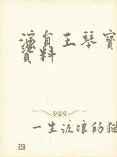 演员王琴宝个人资料