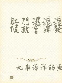 肛门湿漉漉的时候就会痒发炎