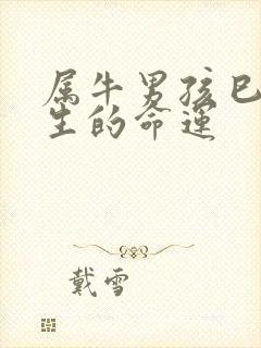 属牛男孩巳时出生的命运