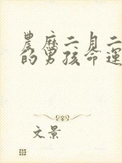 农历二月二出生的男孩命运