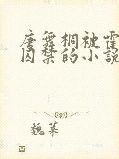 唐舞桐被霍雨浩囚禁的小说封面