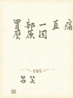 胃部一直痛是什么原因