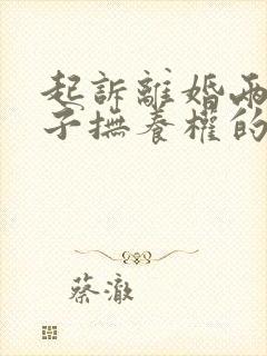 起诉离婚两个孩子抚养权的判定标准