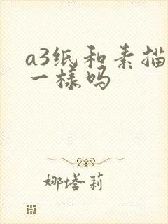 a3纸和素描纸一样吗