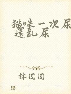 猫咪一次尿一点 还乱尿封面