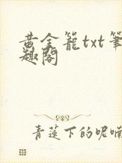 黄金笼txt笔趣阁