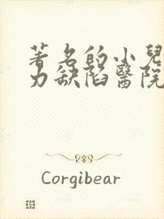 著名的小儿注意力缺陷医院