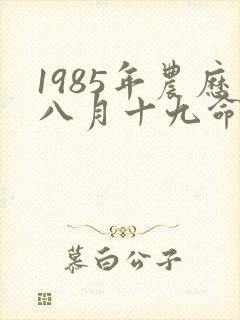 1985年农历八月十九命运如何