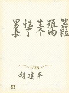 男性生殖器内侧长了个肉粒