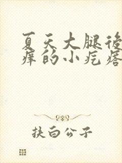 夏天大腿后面痒痒的小疙瘩