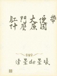 肛门大便带血是什么原因