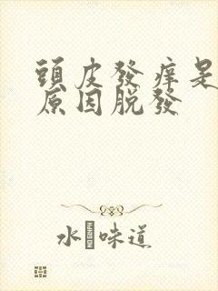 头皮发痒是什么原因脱发封面