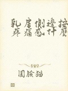 乳房侧边按压有疼痛感什么原因