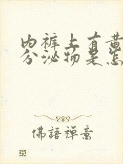 内裤上有黄黄的分泌物是怎么回事还有异味