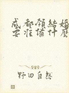 成都领结婚证需要准备什么证件