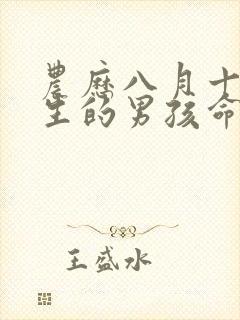 农历八月十四出生的男孩命运