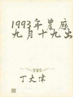 1993年农历九月十九出生命运