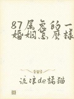 87属兔的一生婚姻怎么样