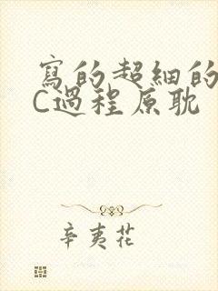 写的超细的多肉C过程原耽封面