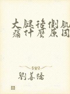 大腿后侧肌肉疼痛什么原因引起的封面