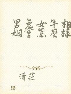 男兔女牛相配婚姻会怎么样