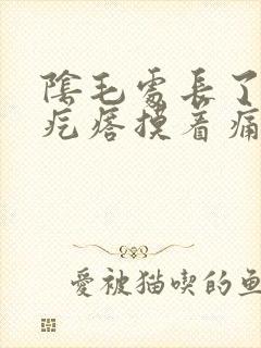 阴毛处长了个硬疙瘩摸着痛