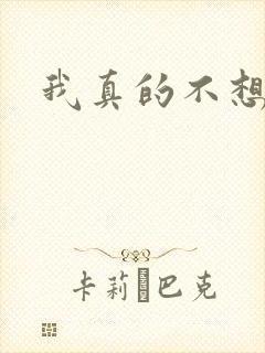 我真的不想穿越封面