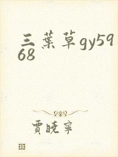 三叶草gy5968封面