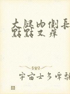 大腿内侧长了红点点又痒