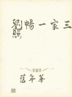 刘畅一家三口近照封面