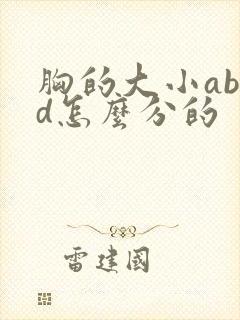 胸的大小abcd怎么分的