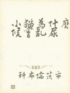 小猫为什么有时候会乱尿