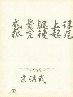 感觉腿上很痒,抓完后起疙瘩