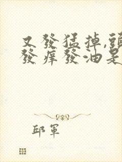 又发猛掉,头皮发痒发油是什么原因