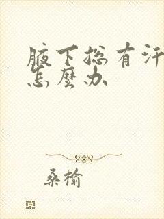 腋下总有汗臭味怎么办封面