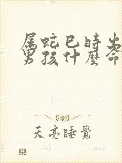 属蛇巳时出生的男孩什么命运