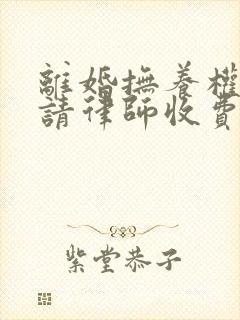 离婚抚养权官司请律师收费